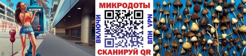 где купить наркоту  Харабали  Псилоцибиновые грибы ЛСД 